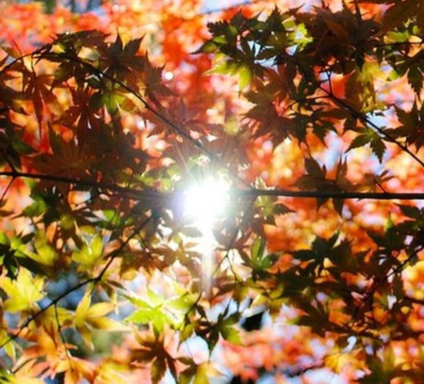 Zdrowie: Przyszła jesień – nie zapomnij o witaminie słońca