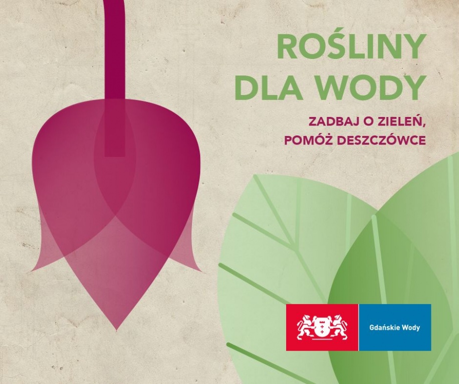Gdańsk: Światowy dzień wody – zadbaj o zieleń, pomóż deszczówce