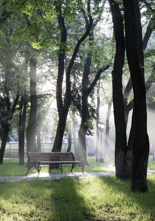 Toruń: Nowa odsłona miejskiej zieleni