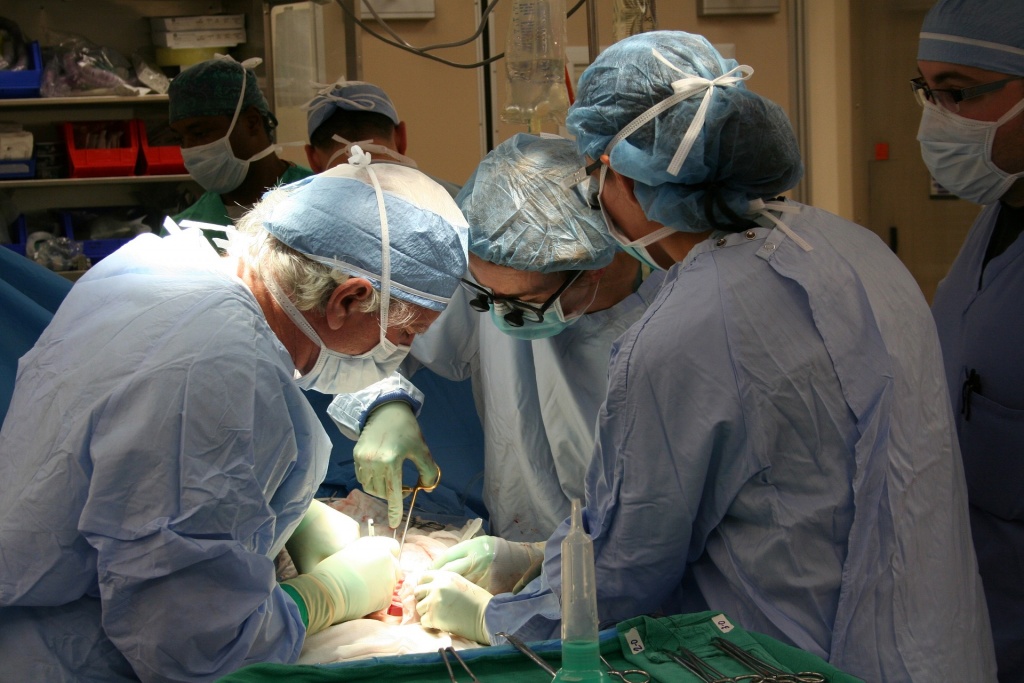 Zdrowie: Transplantacja szansą na nowe życie