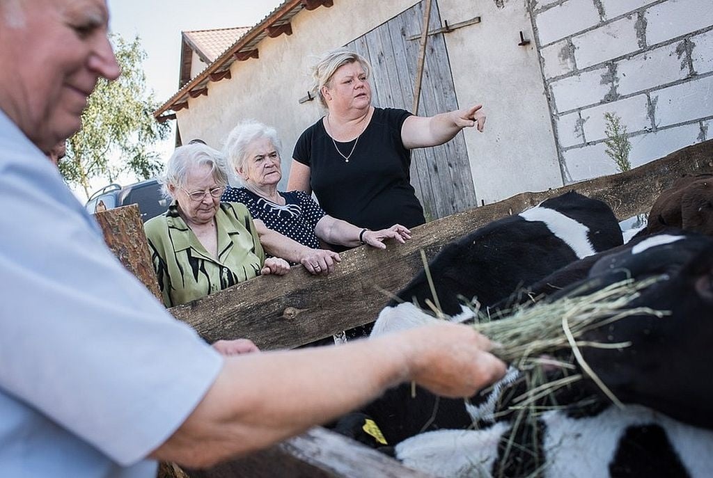 Toruń: Seniorzy lubią wieś?