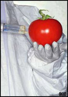 GMO – Genetycznie Zmodyfikowane Organizmy
