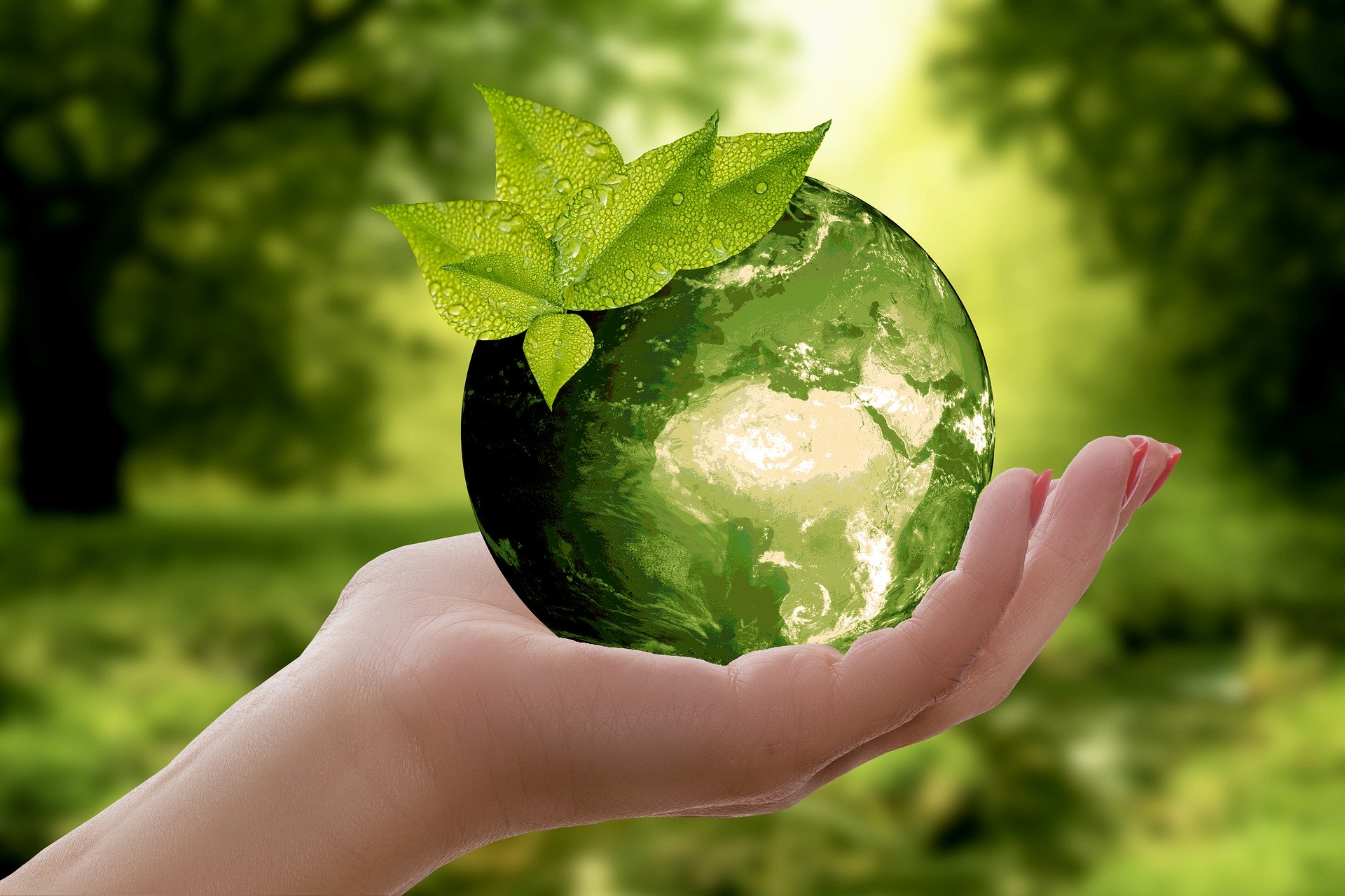 „Panu Bogu i nam bliska ochrona środowiska” – Caritas Polska ekologiczna