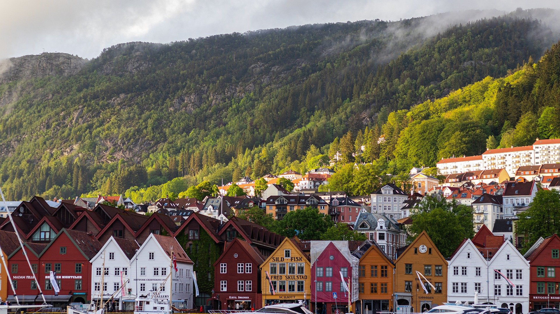 Norwegia: Premier zapowiedziała stopniowe znoszenie ograniczeń z powodu koronawirusa