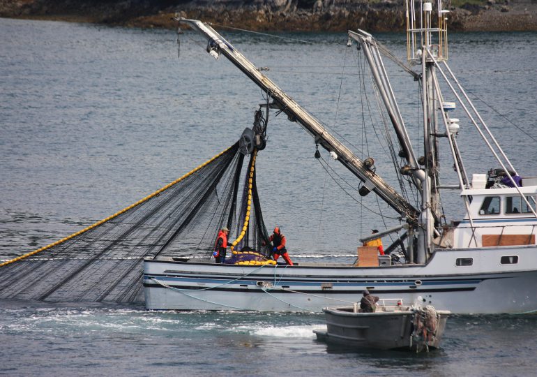 Włoscy rybacy alarmują: Ogromne ilości maseczek i rękawiczek w sieciach