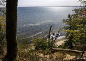 Gdynia: Wybija godzina dla Bałtyku