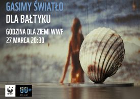 Dla Bałtyku! Godzina dla Ziemi WWF w Elblągu