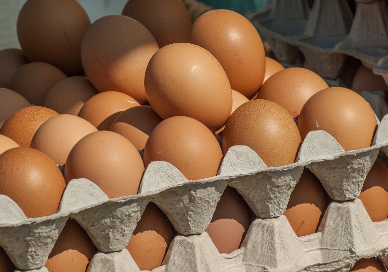 70 proc. Polaków woli kupować jaja z wolnego wybiegu