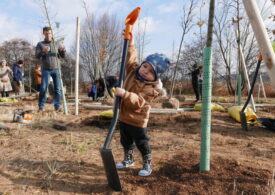 Kraków: Posadź drzewo dla swojego dziecka