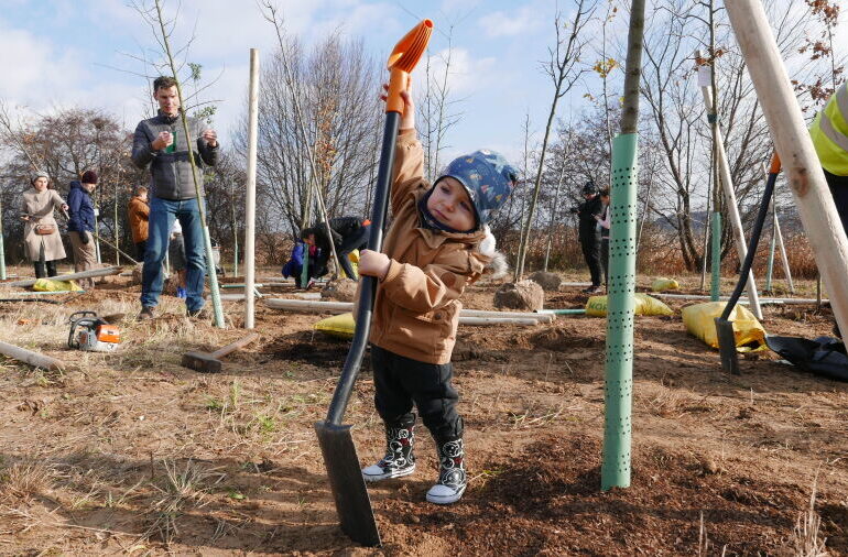 Kraków: Posadź drzewo dla swojego dziecka