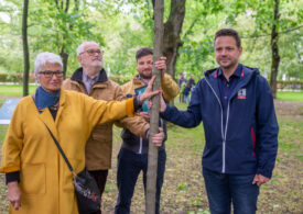 Warszawa: „Korzenie pamięci” – drzewa będą przypominać o Powstańcach