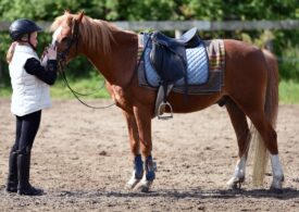 Psycholog z UŁ bada działanie innowacyjnej metody terapeutycznej pracy z koniem