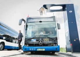 Gdynia: Nowe elektrobusy ruszają w trasę. Są dostępne dla niepełnosprawnych