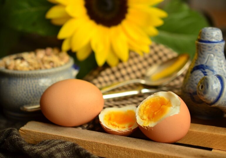 Żółtko jajka bardziej wartościowe od białka