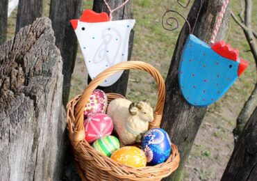 Toruń: Spacer z jajem