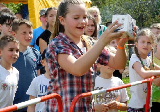 Lublin: Piknik rodzinny z okazji Dnia Rodzicielstwa Zastępczego – 29 maja od godz.14:00