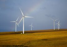 Ekspertka: w Polsce potrzebne są regulacje dot. norm i zasad hałasu turbin wiatrowych